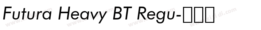 Futura Heavy BT Regu字体转换